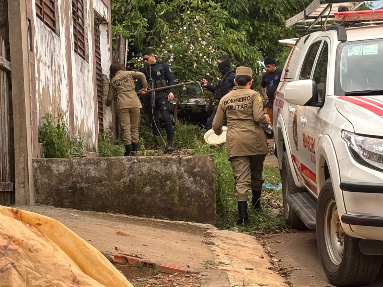 Médico é levado à delegacia após denúncia de abandono de cães no Acre; um dos animais morreu