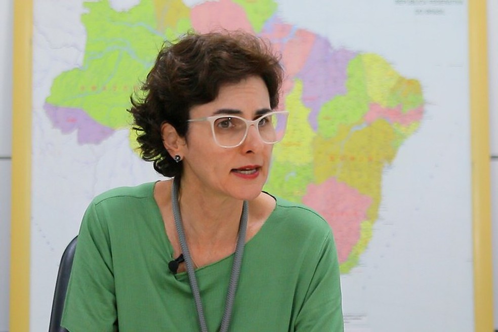 A secretária de Segurança Alimentar do MDS, Lilian Rahal, afirmou que o decreto da nova cesta básica “pode ser um orientador” do governo na proposta de regulamentação da reforma tributária. — Foto: Divulgação/MDS