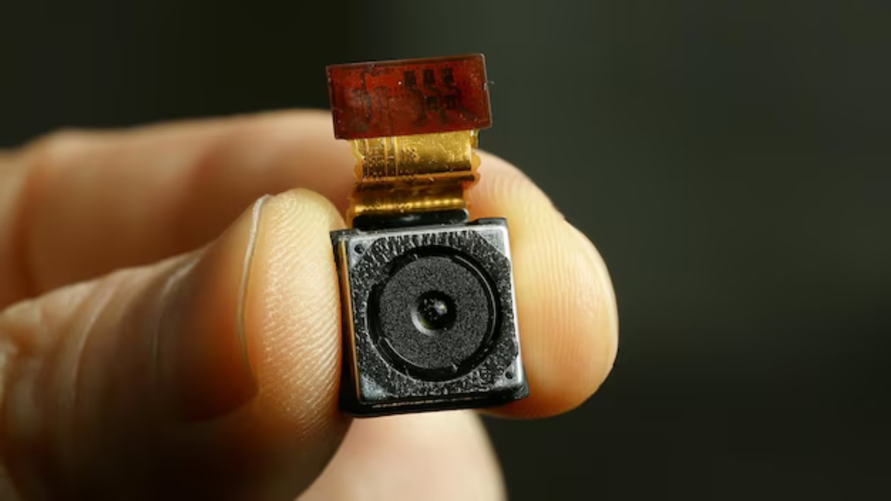 Você Não Tá Convidada pro Meu Bat Mitzvá!