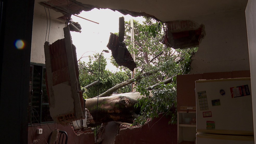 Queda de árvore deixou rachaduras e buraco no meio da casa de aposentados em Ribeirão Preto (SP). — Foto: Carlos Trinca/EPTV