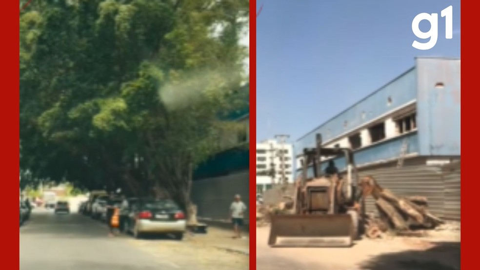 Em nota, o Governo de Mato Grosso afirmou que a retirada foi realizada com autorização da Secretaria Municipal de Meio Ambiente e Desenvolvimento Urbano de Cuiabá. — Foto: Reprodução