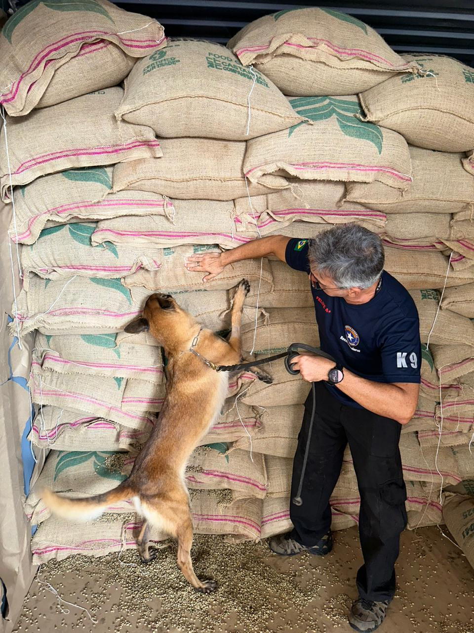 Receita apreende 1,3 tonelada de cocaína em carga de café no Porto do Rio