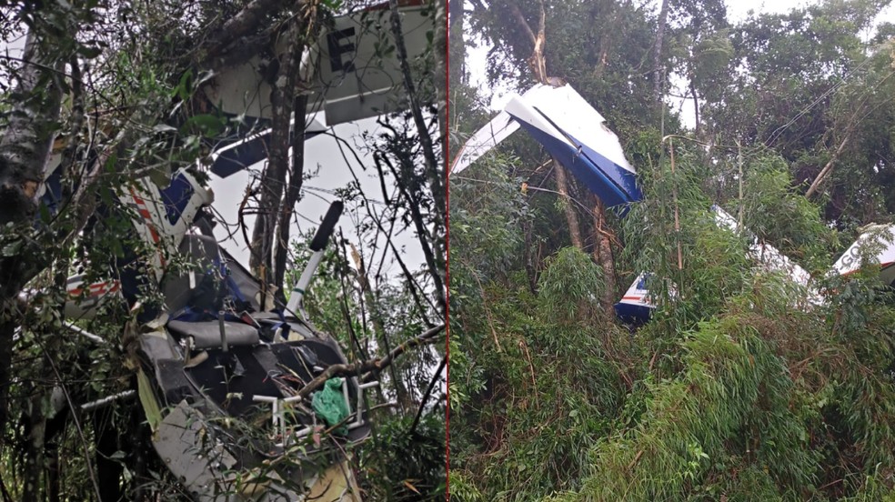 Avião monomotor ficou preso às árvores. — Foto: Corpo de Bombeiros