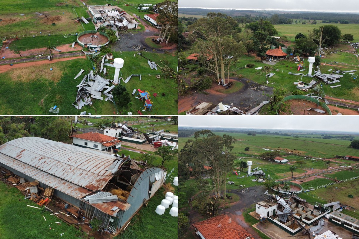 VÍDEO: temporal deixa rastro de destruição e mata cavalo em estância em Regente Feijó