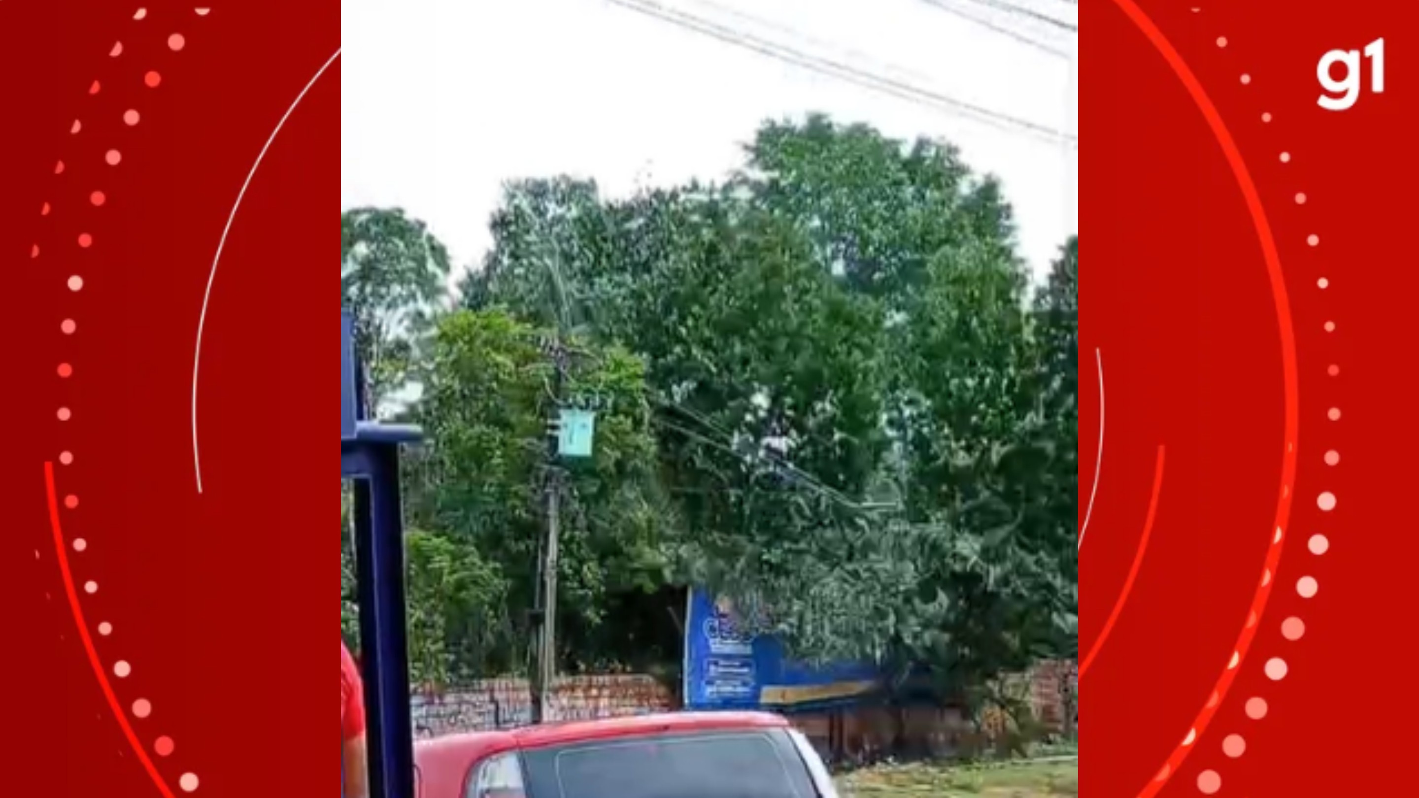 Vídeo mostra árvore caindo sobre fiação em Manaus; motociclista é atingido