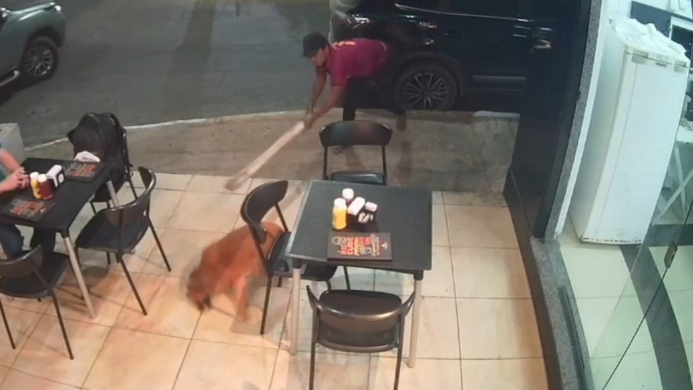 Homem é preso por agredir cachorro com paulada em Juazeiro do Norte, no interior do Ceará — Foto: Reprodução