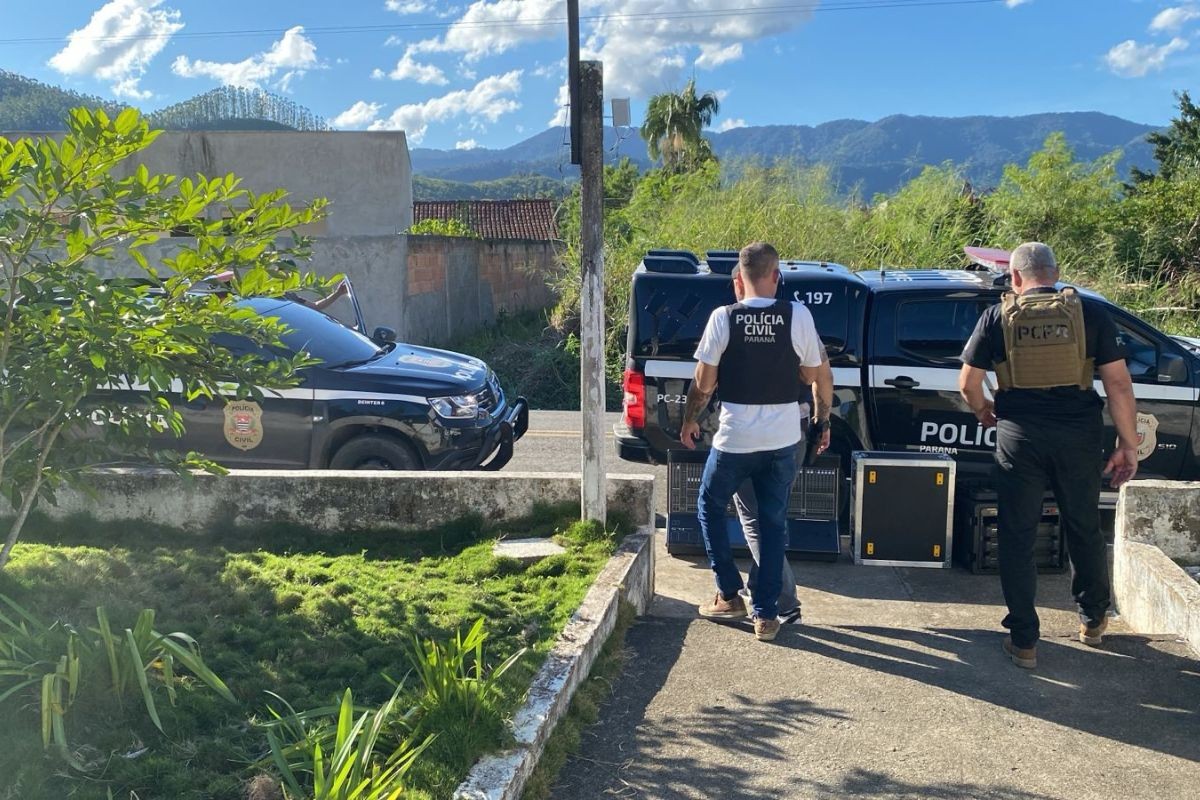 Polícia recupera equipamentos de som de R$ 375 mil furtados de caminhão durante acidente