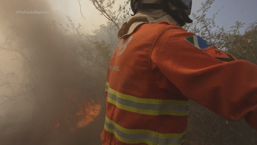 Profissão Repórter mostra o trabalho de combate ao fogo no Pantanal — Foto: Reprodução/TV Globo