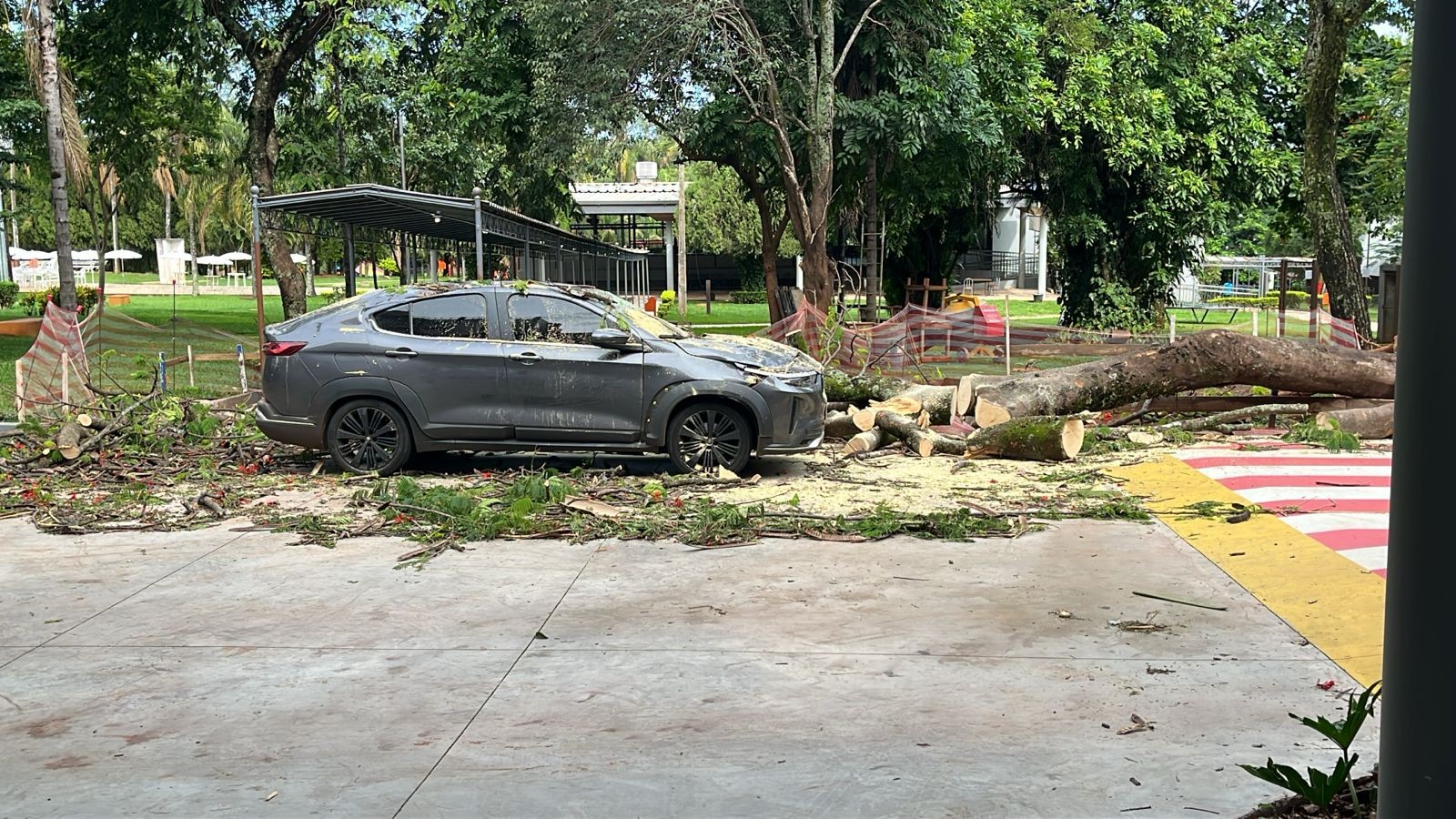 VÍDEO: Temporal com ventos de 83 km/h derruba árvores e causa transtornos em Uberaba