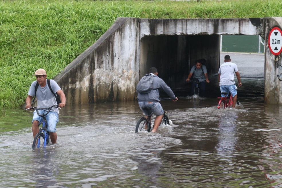 Chuva alaga ruas e causa prejuízos em SC; previsão é de novos temporais, Santa Catarina