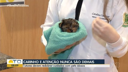 Pets idosos precisam de cuidados redobrados dos tutores