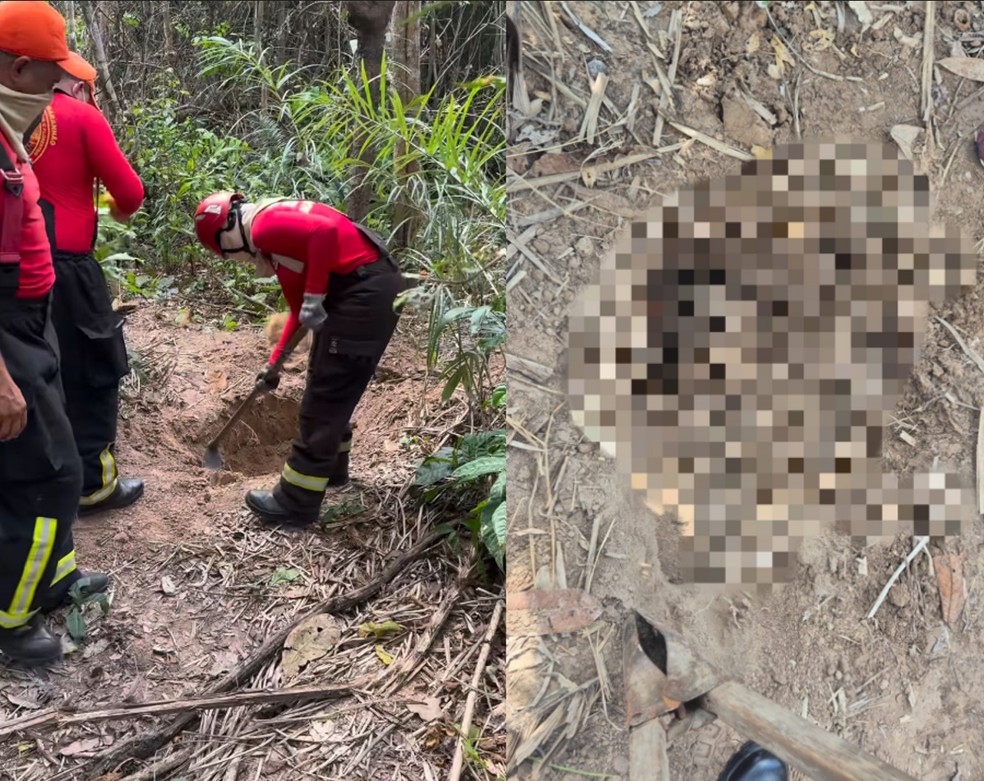 Dois corpos esquartejados são encontrados em área de vegetação, em Imperatriz, no MA — Foto: Divulgação/Redes sociais