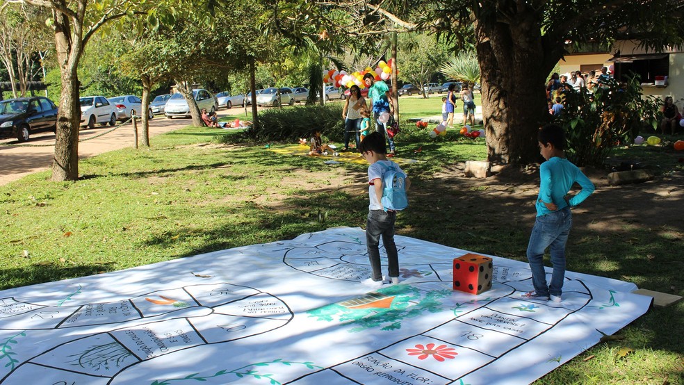 Conheça mais dois jogos infantis do Ludo Educativo - Noticias PORTO  FERREIRA HOJE