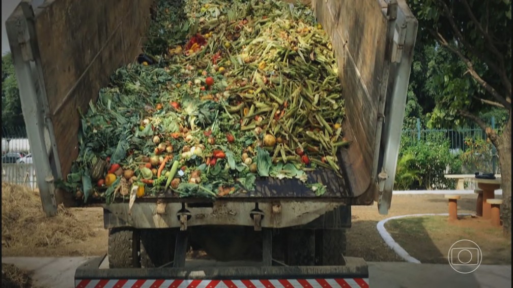 Mais de 1 bilhão de refeições vão parar no lixo diariamente no mundo; número é maior que o de pessoas que passam fome — Foto: Jornal Nacional/ Reprodução
