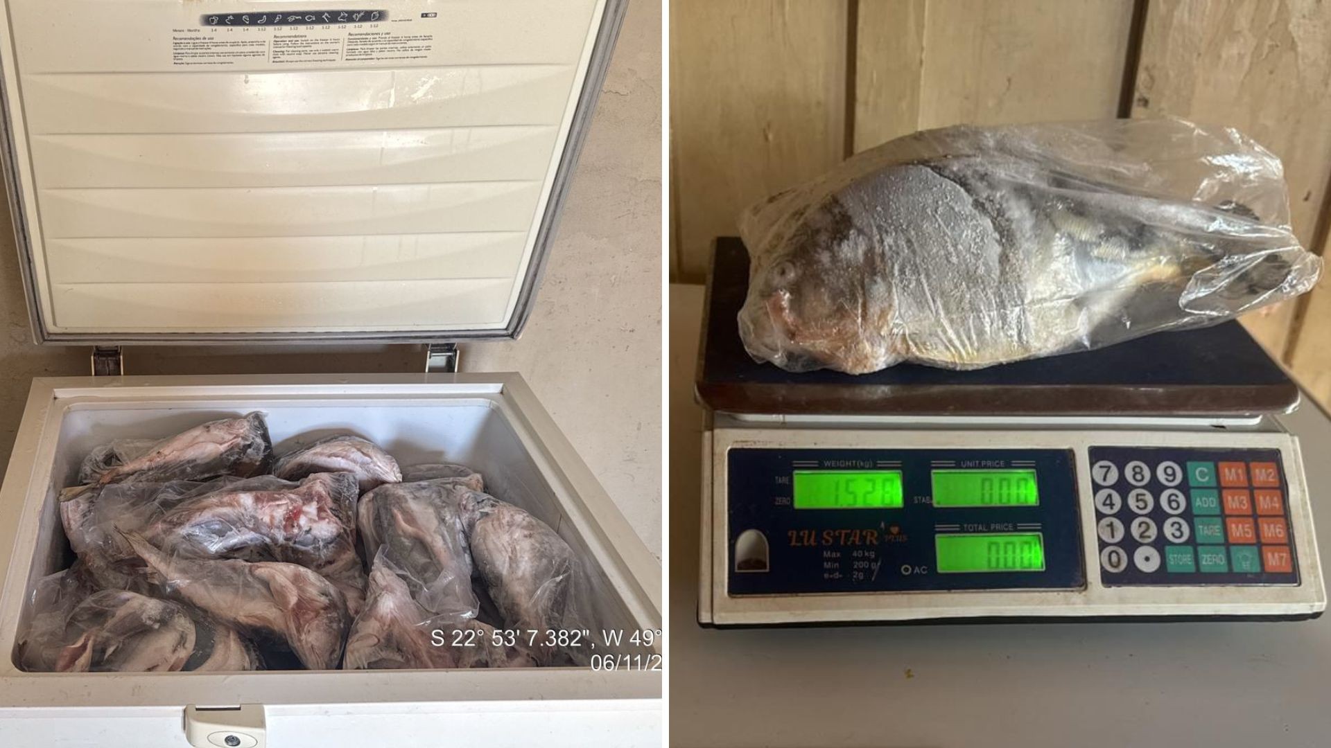 Polícia Ambiental apreende peixes e aplica multas durante Piracema no interior de SP