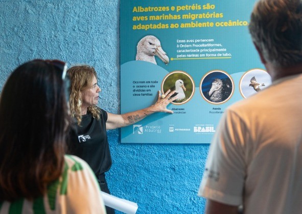 Projeto Albatroz celebra um ano do Centro de Visitação em Cabo Frio, RJ, com programação gratuita 