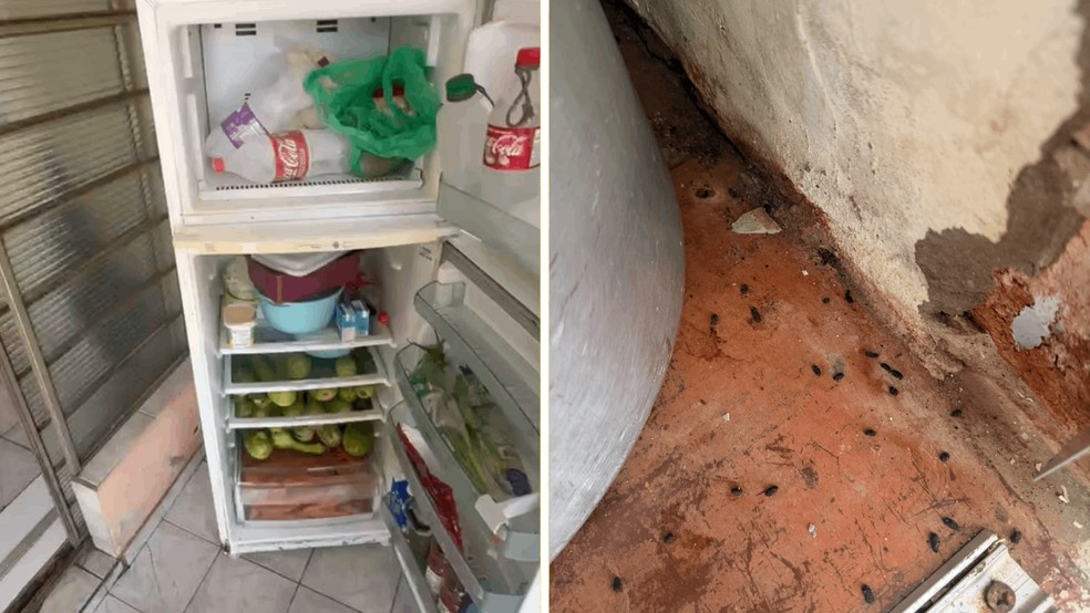 2 de 2
Enfermeira &eacute; presa suspeita de maus-tratos contra 17 idosos em cl&iacute;nica geri&aacute;trica de Bauru &mdash; Foto: Pol&iacute;cia Civil/Divulga&ccedil;&atilde;o