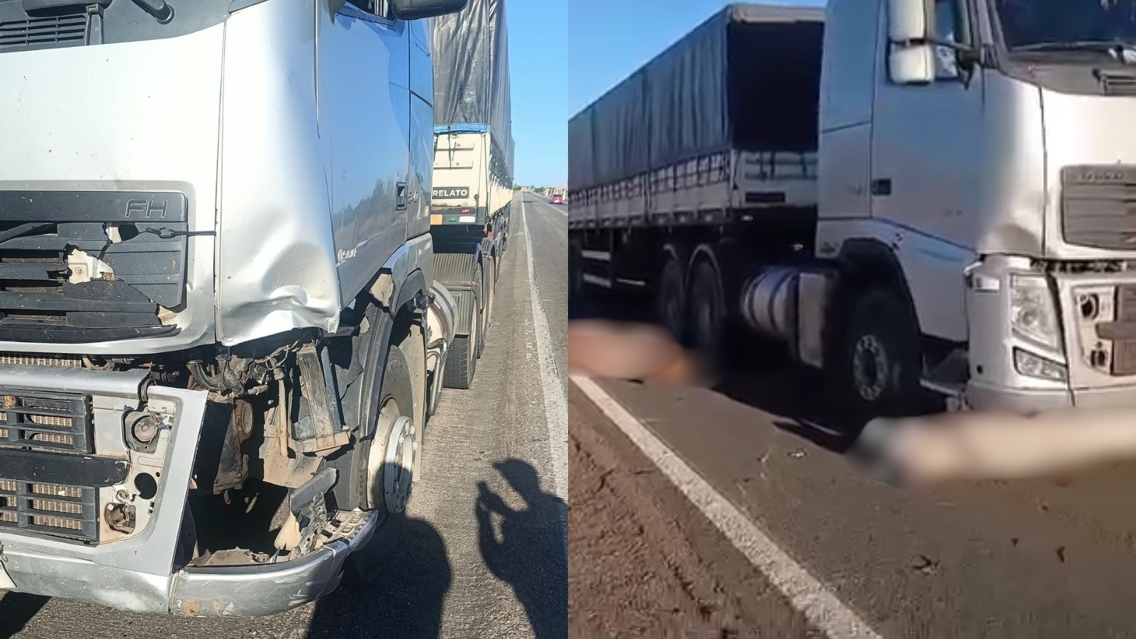 Seis animais morrem após serem atropelados por carreta durante travessia de pista no Sul do PI
