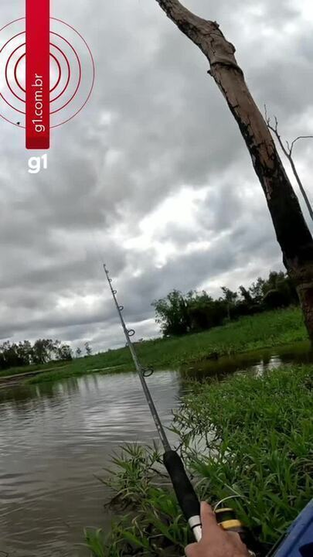 Pescador leva mordida de cobra enquanto filmava pescaria: 'Foi rápido'