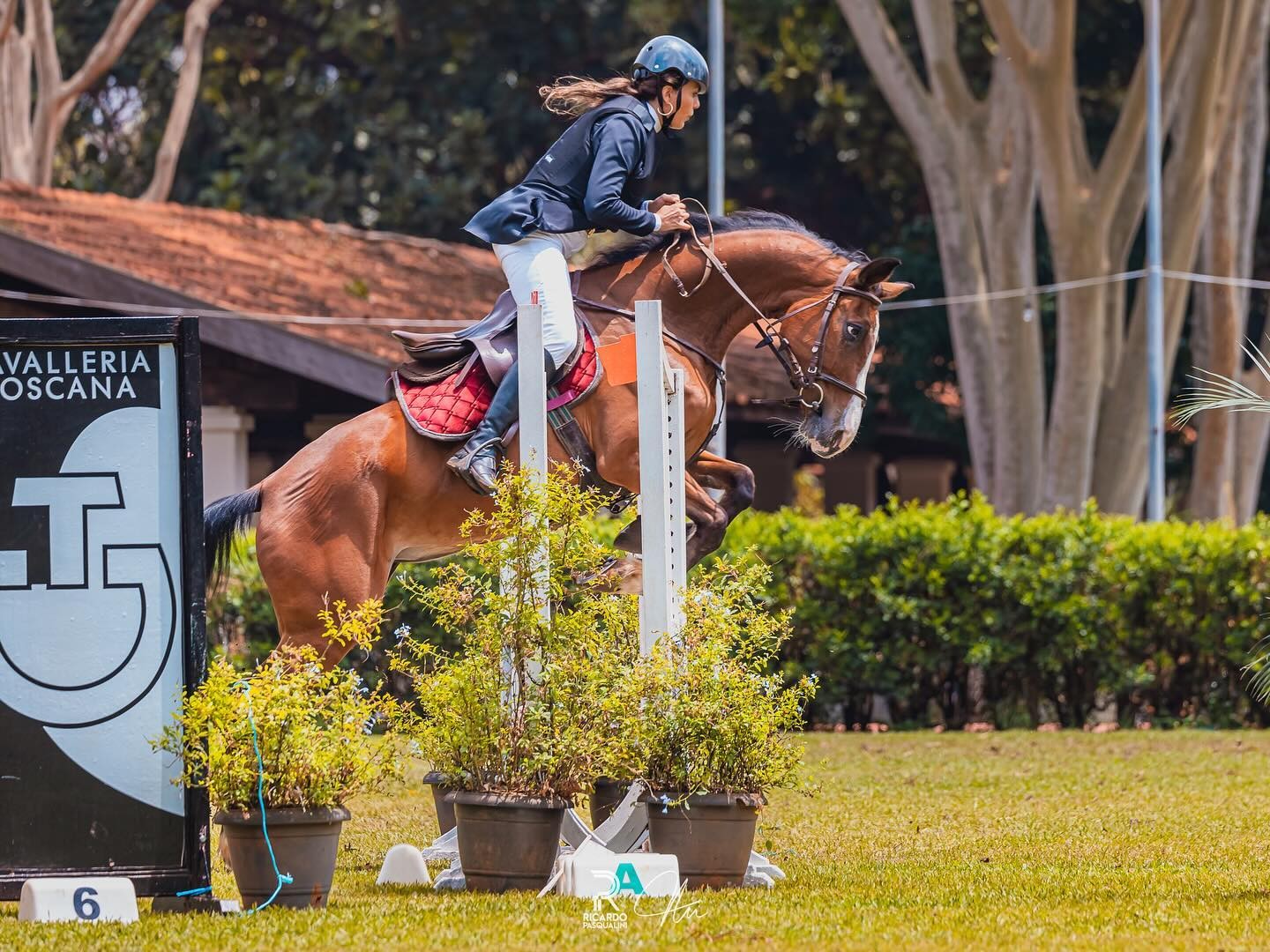 Maria Vitória Ferrari: médica que morreu em acidente em rodovia de SP praticava hipismo e era apaixonada por viagens
