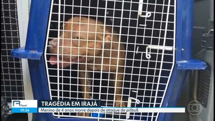 Criança de 4 anos morre depois de ser atacada por pitbull