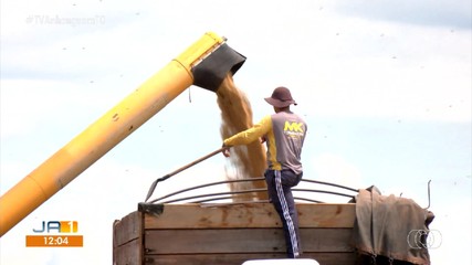 Rodovias do estado variam de regulares a péssimas e dificultam o escoamento da produção