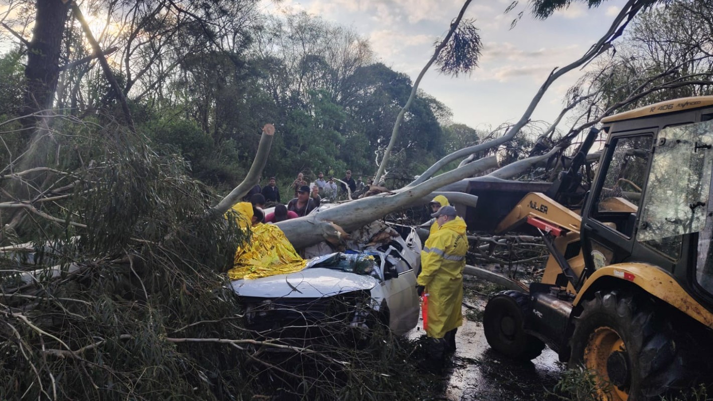Árvore cai sobre carro durante chuva forte e deixa dois feridos em rodovia no Norte do RS