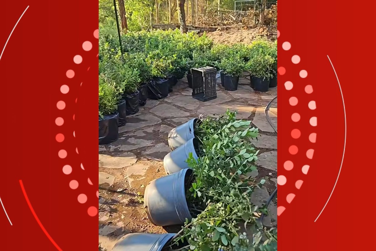 Você Não Tá Convidada pro Meu Bat Mitzvá!