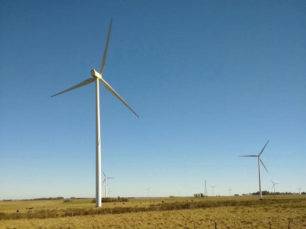 Turbinas eólicas no departamento de Tacuarembó, no norte do Uruguai. — Foto: Mx. Granger/Wikimedia Commons