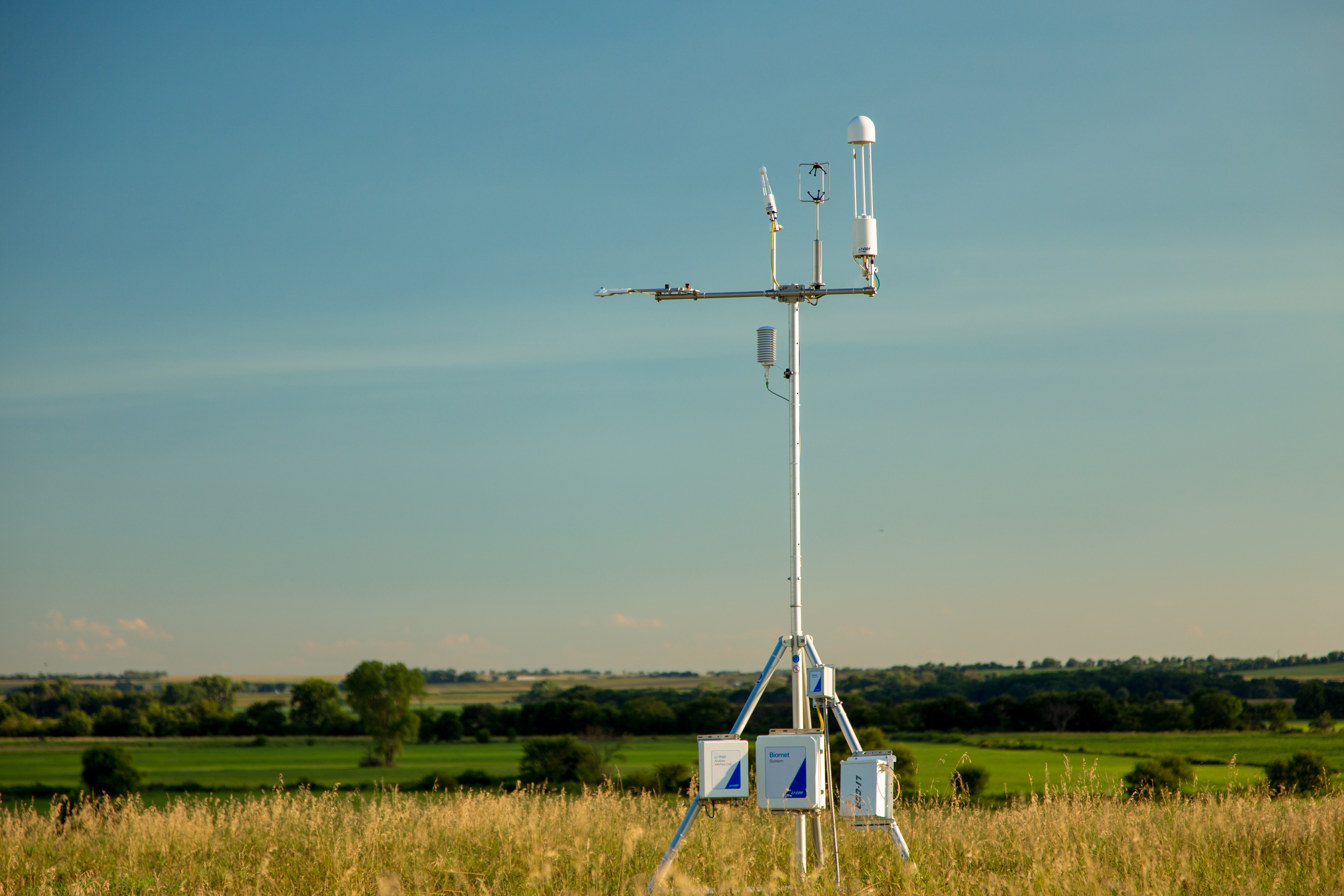 Agrishow: Tecnologia que mede ‘suor’ das plantas ajuda a salvar colheitas; entenda