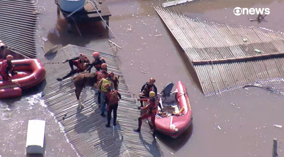 Cavalo começa a ser resgatado em Canoas (RS) — Foto: Reprodução GloboNews