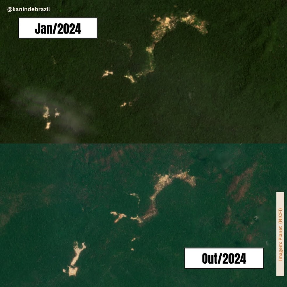 Garimpo ilegal em 2024 na TI Sete de Setembro — Foto: Planet (NICFI)