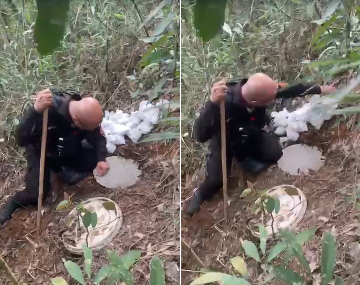 Vídeo mostra policial desenterrando carga de droga escondida no meio do matagal em Petrópolis 