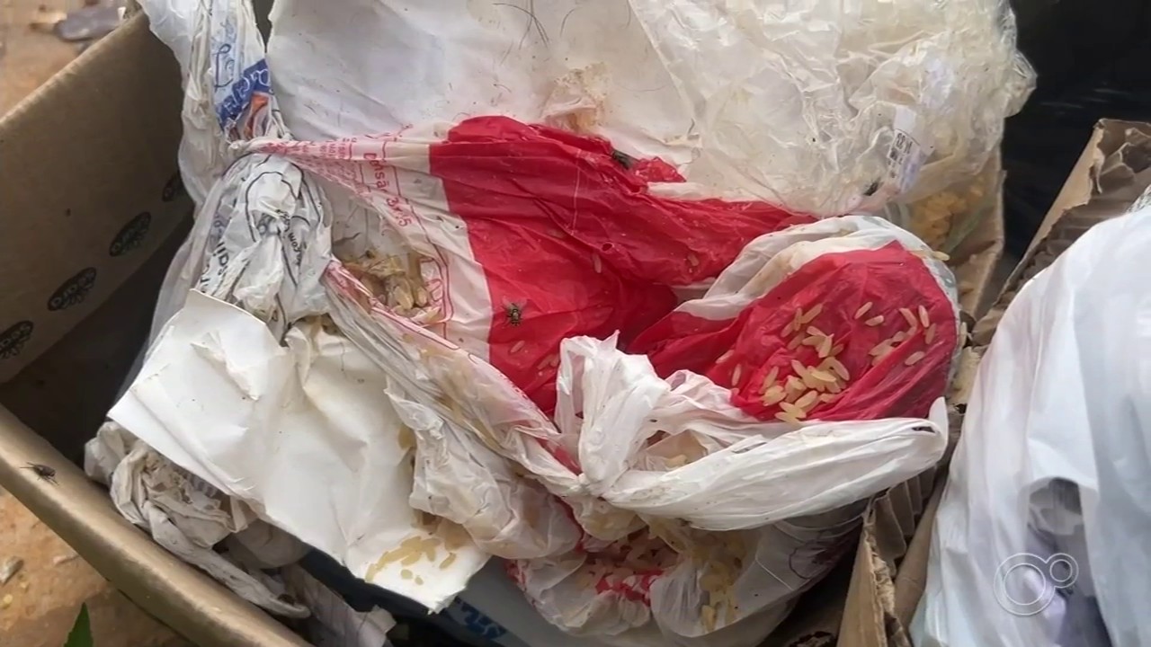Moradores reclamam de falhas na coleta de lixo em bairro de Itapetininga: 'Não sabemos quando passa'