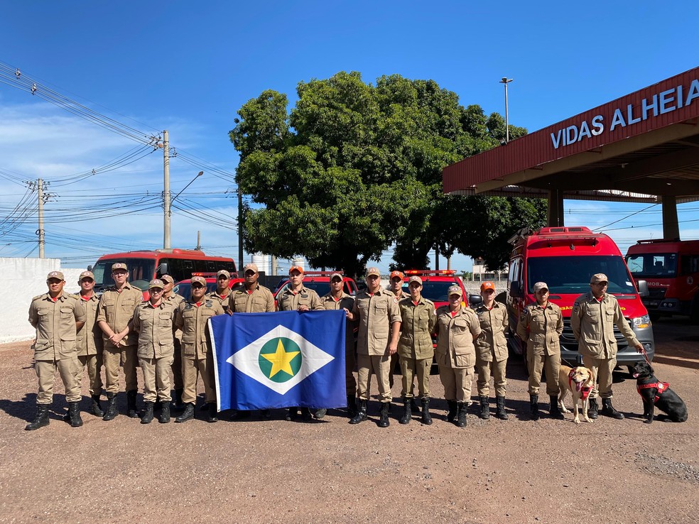 Maya e Bela são cachorros certificados pelo Conselho Nacional dos Corpos de Bombeiros Militares do Brasil — Foto: Reprodução