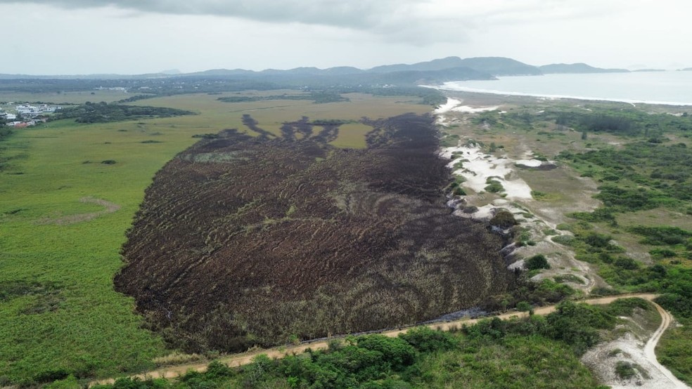 Incêndio atinge vegetação nas Dunas do Peró, em Cabo Frio — Foto: Reprodução: Guarda Marítima e Ambiental de Cabo Frio