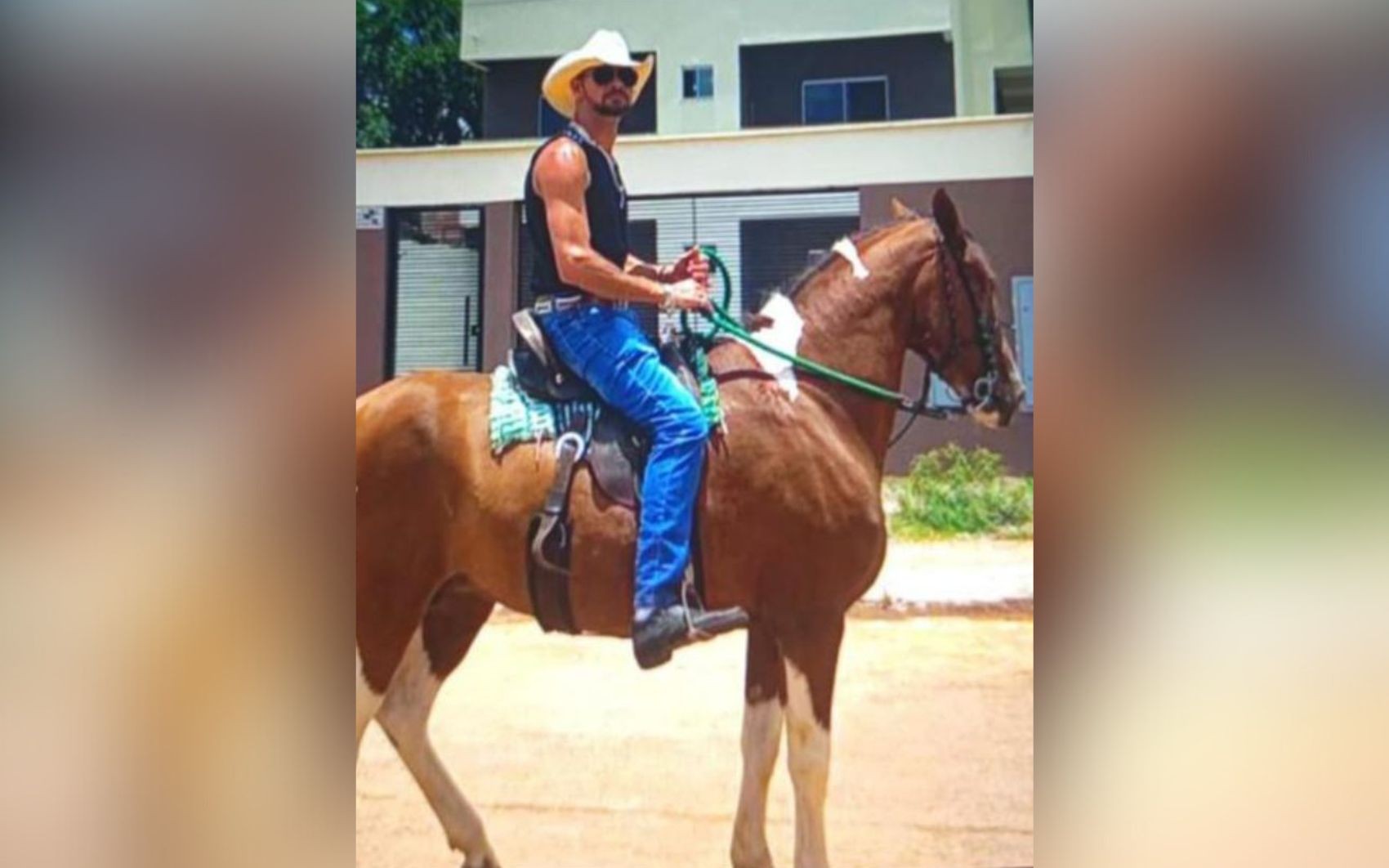 Cavaleiro e égua morrem após serem atingidos por carro na BR-040