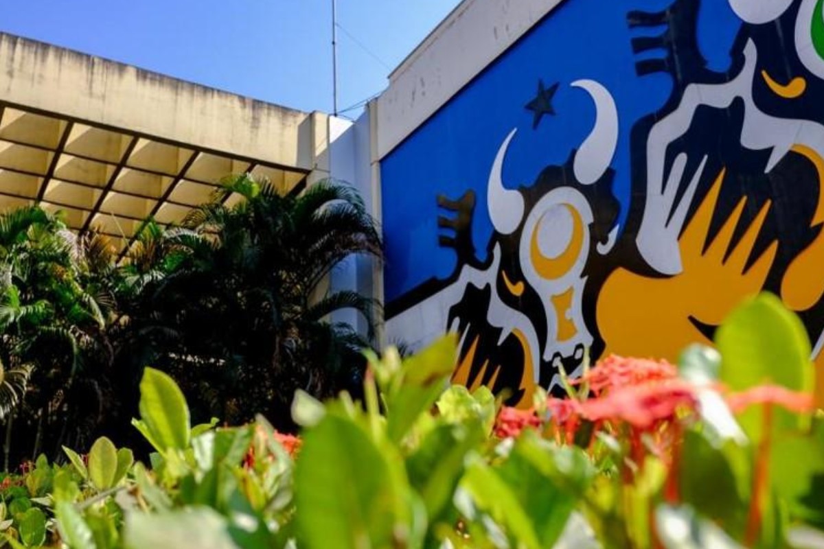 Feriado da Consciência Negra altera funcionamento de serviços públicos; veja o que abre e o que fecha