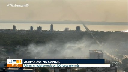 Palmas registra mais de 100 focos de incêndio no início de setembro