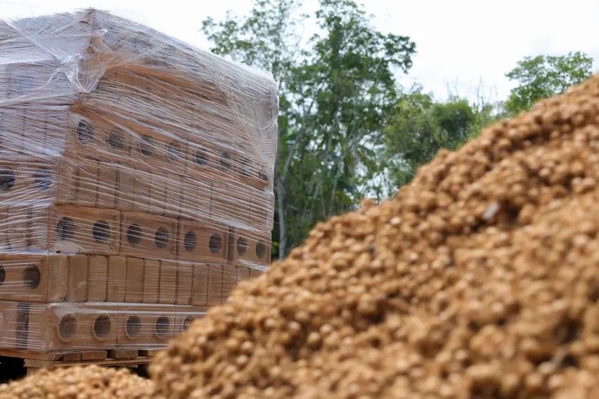 Projeto usa tijolos de açaí para construir casas sustentáveis nas ilhas de Belém