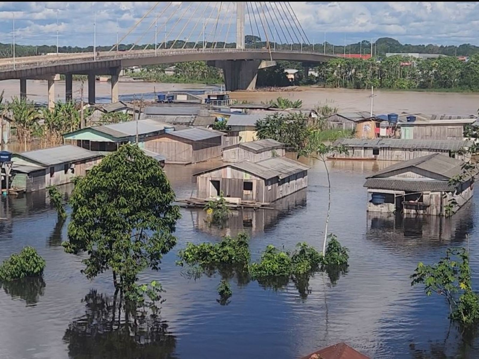 Rio Juruá sobe pelo 4º dia seguido e aumenta número de desabrigados em Cruzeiro do Sul