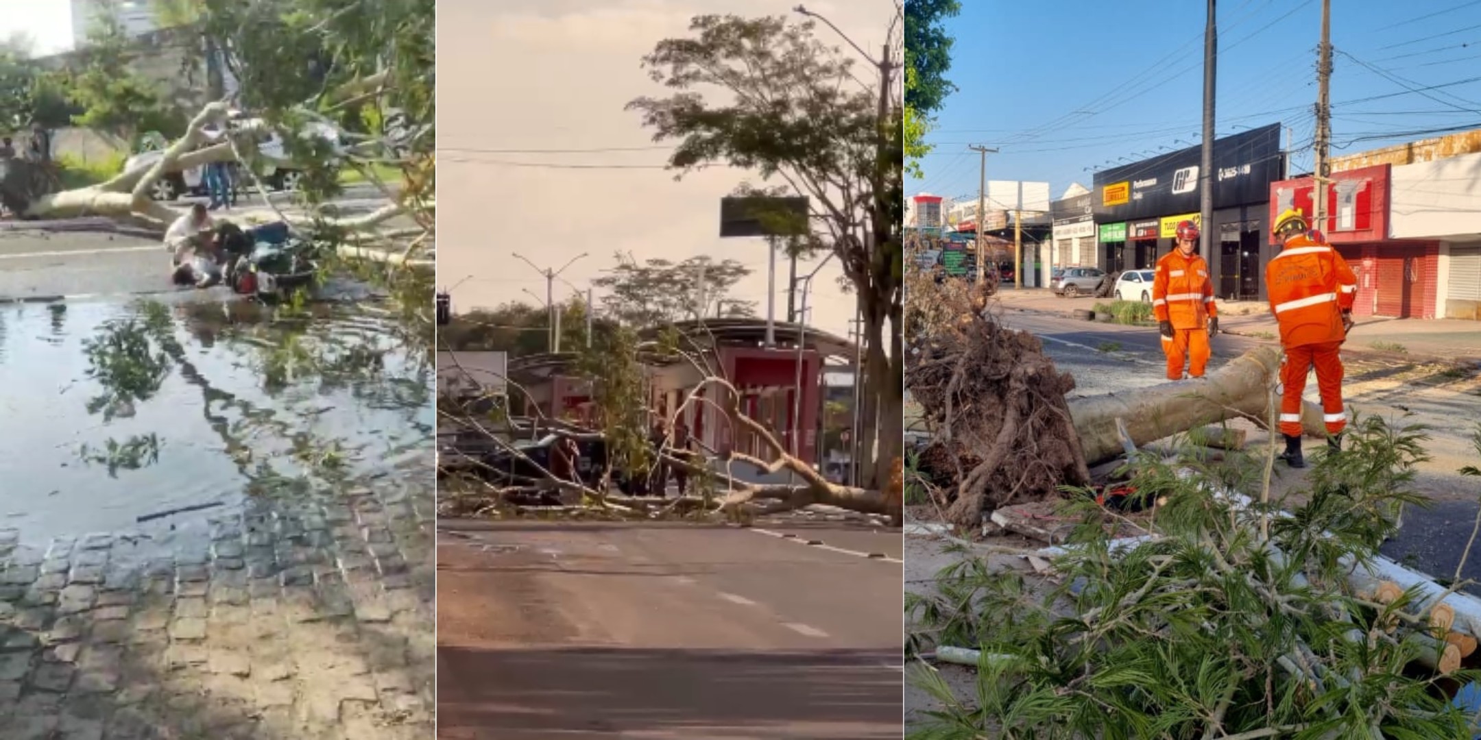 Motorista de aplicativo e passageira ficam feridos após árvore cair em avenida na Zona Leste de Teresina