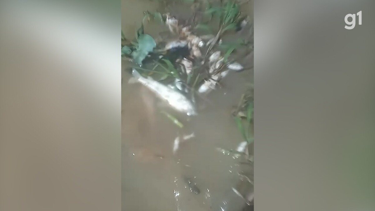 VÍDEO: Moradores denunciam descarte irregular de resíduos sólidos no Rio Peritoró, no MA