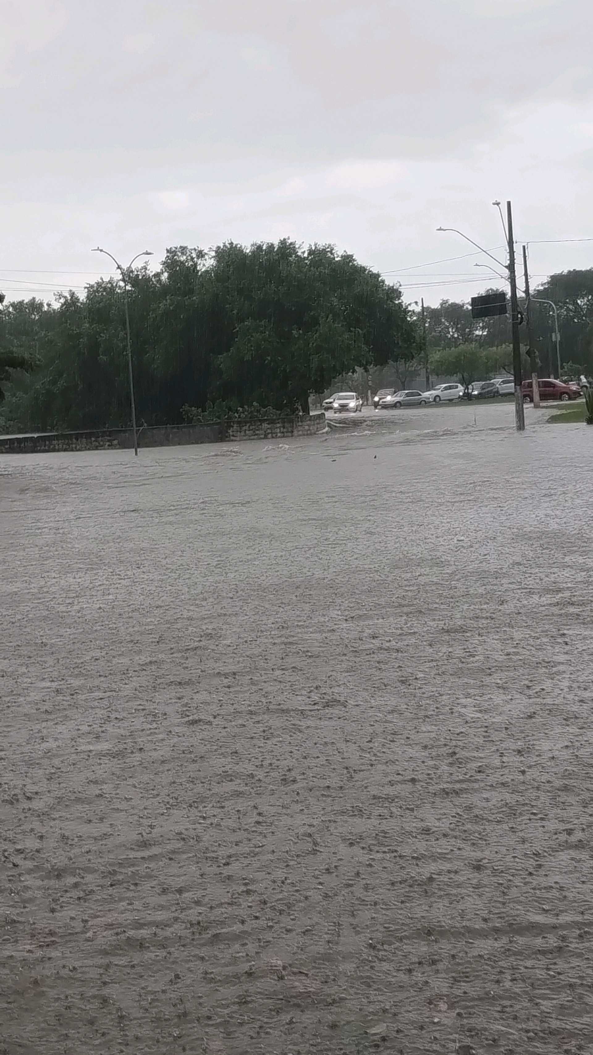 Tempestade causa alagamentos e quedas de árvores em diversos bairros de Taubaté