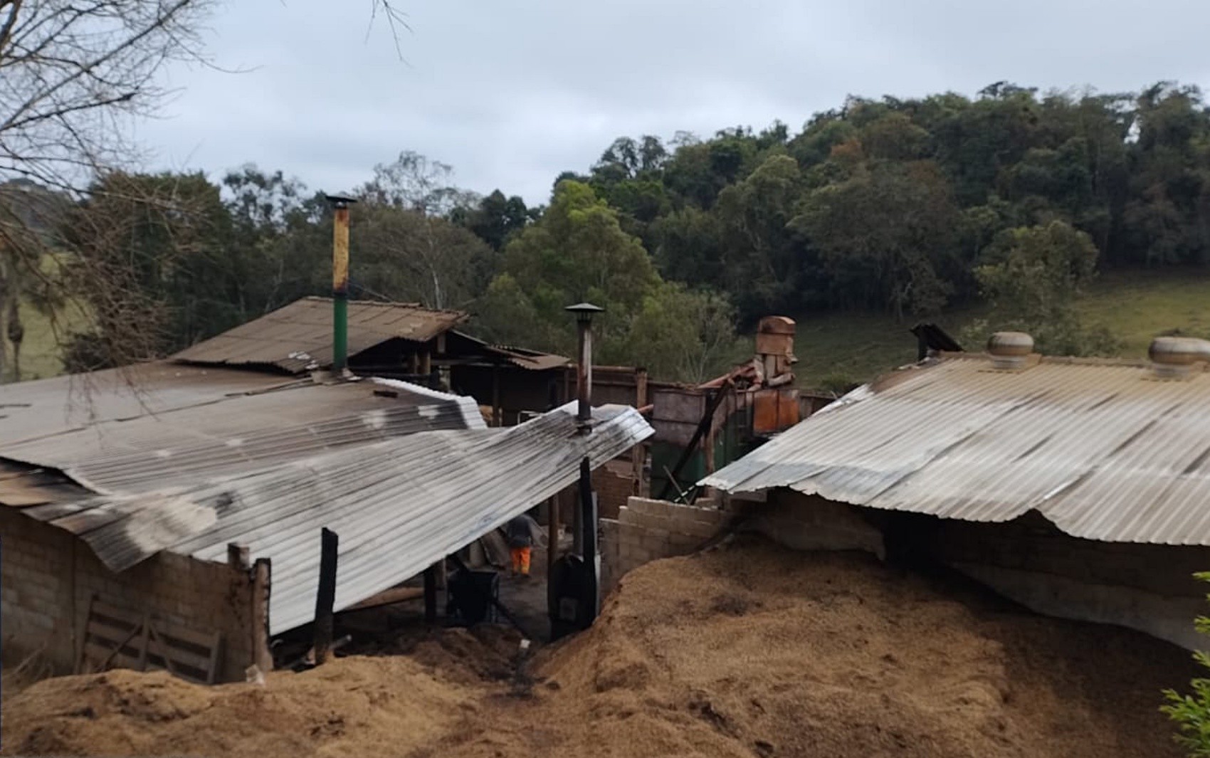 Incêndio em equipamento queima sacas de café e destrói galpão em MG
