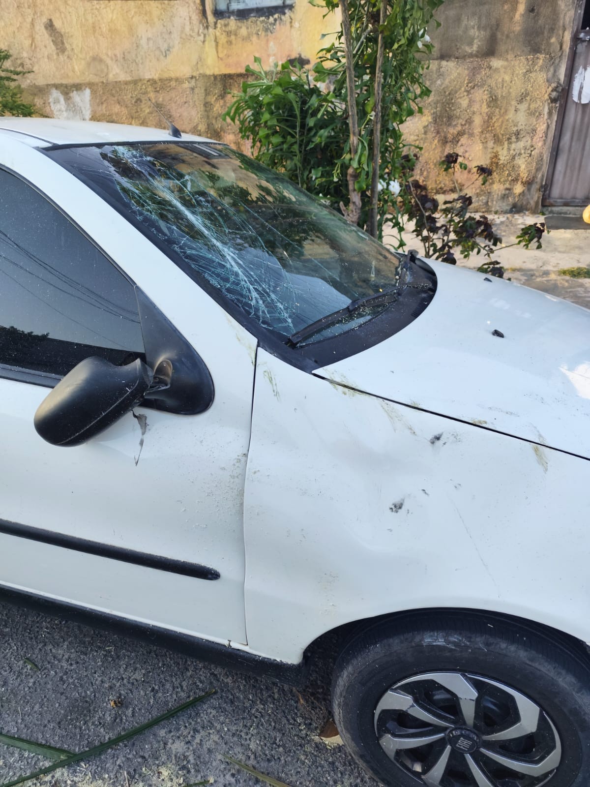 Queda de árvore de grande porte interdita rua e atinge carro no Prado, em Maceió