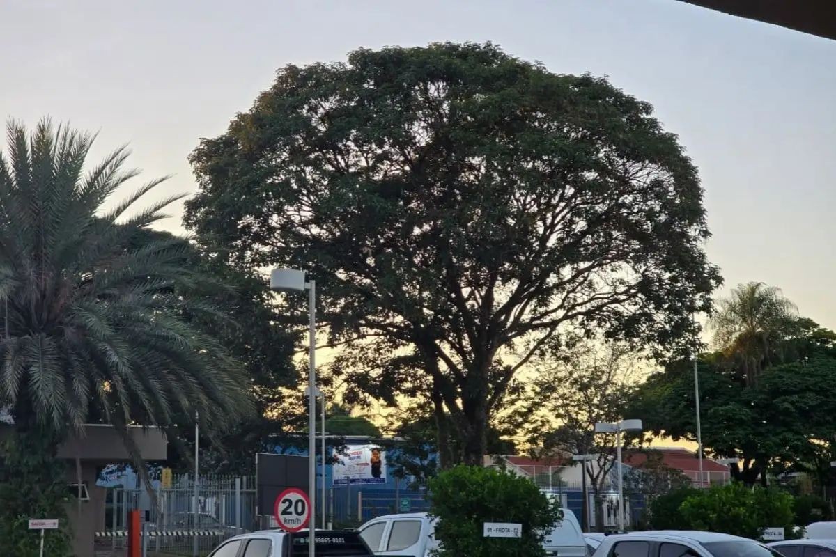 Domingo terá sol, calor e pouca chuva em MS; veja temperaturas