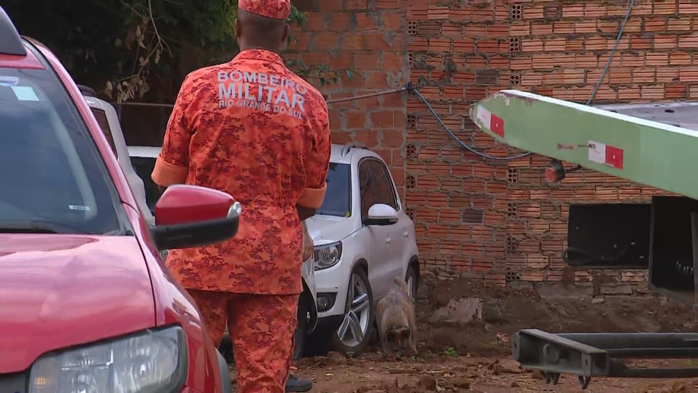 Cães farejadores são usados em buscas a família desaparecida em Cachoeirinha — Foto: Reprodução/RBS TV