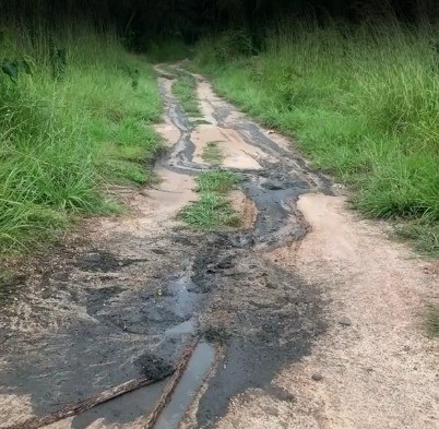 Indígenas denunciam descarte ilegal de dejetos em área protegida no território Pindaré