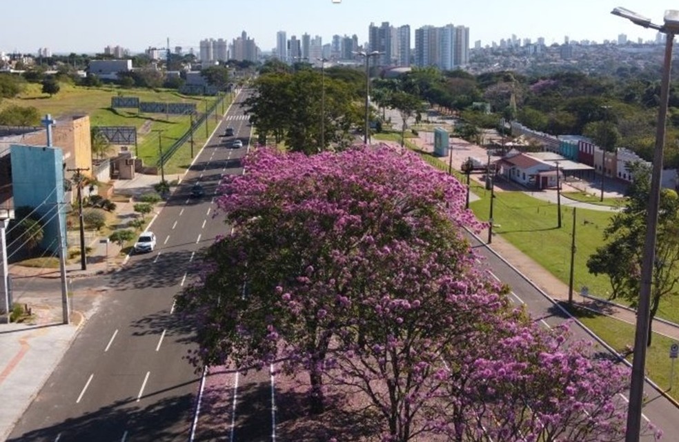Previsão é de tempo seco em MS — Foto: Bruno Rezende/Arquivo